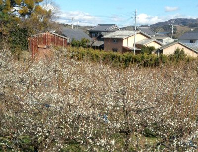 20140204143719_photo 20140204143719_photo