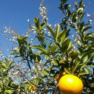 20140204150344_photo 20140204150344_photo