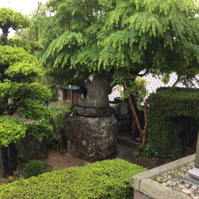 20160427_1604271 20160427_1604271