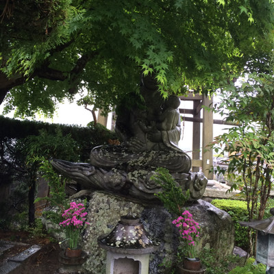 20160427_160458 20160427_160458