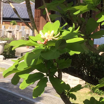 20160502_082157 20160502_082157