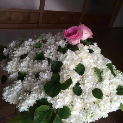 20160507_161458 20160507_161458