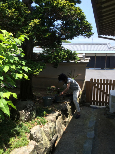 20160523_114204_hdr2